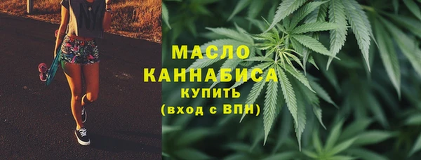 гидра Верея