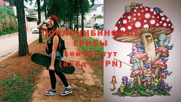 гидра Верея