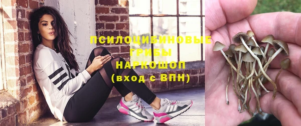 соль ск Верхний Тагил