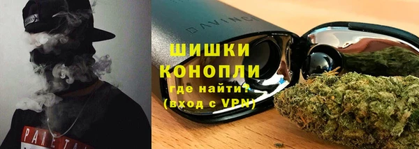 гидра Верея
