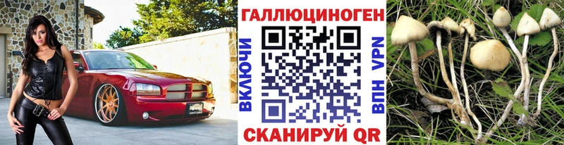 Галлюциногенные грибы мухоморы Казань